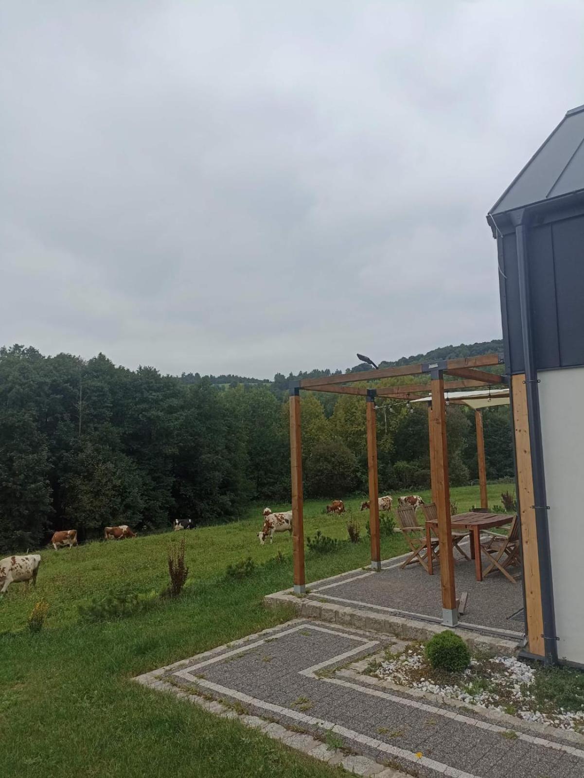 Maraska House * Kamienna Gora